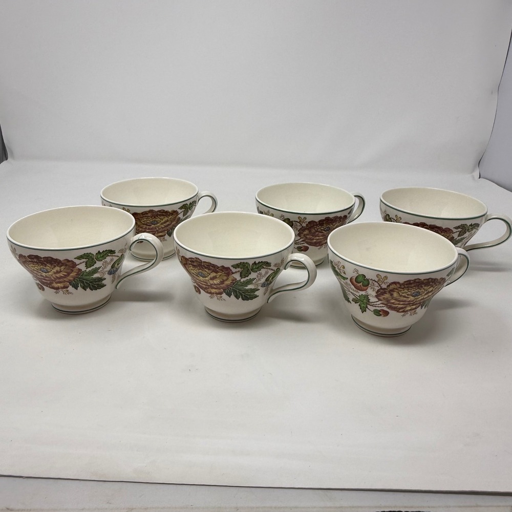 Wedgwood Surrey of Etruria & Barlaston Floral Teacups Set of 6 Multi-Color Green
